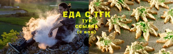 ECSTASY Алзамай