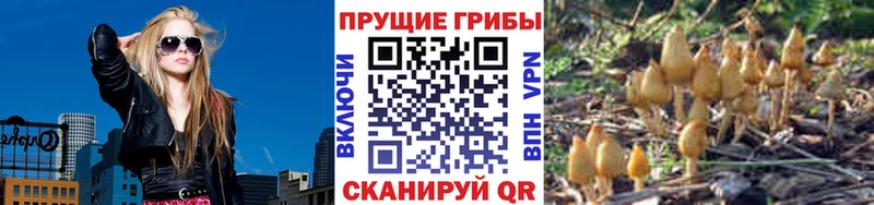 Галлюциногенные грибы Magic Shrooms  mega ссылки  Галич 